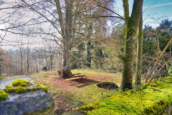 Grillplatz unter der alten Blutbuche