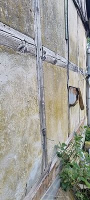 Fassade Stall