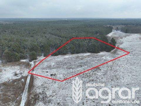 Am Mellensee Bauernhöfe, Landwirtschaft, Am Mellensee Forstwirtschaft