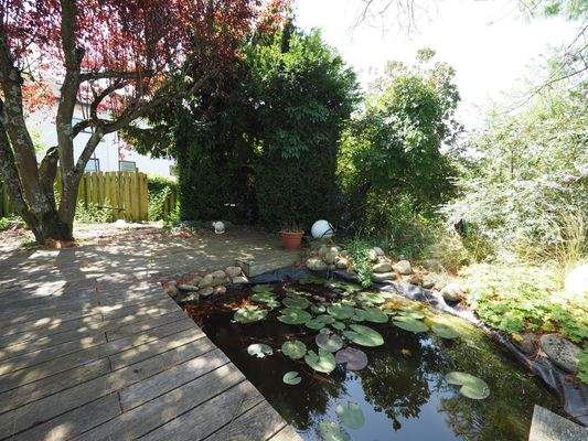 Gartenteich.JPG