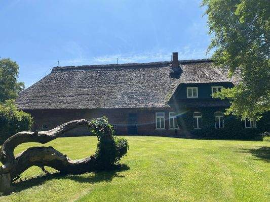 Seitenansicht des Hauses