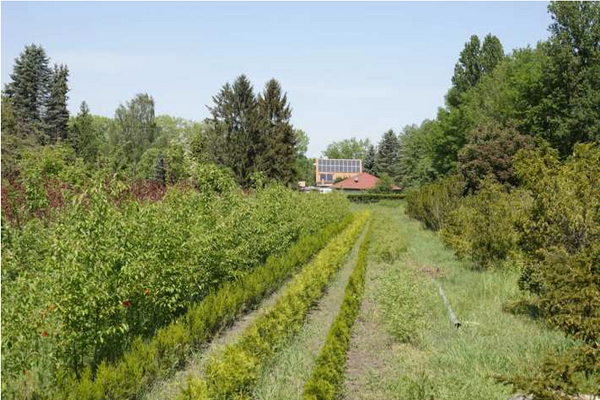 Blick auf die aktuell verpachtete Fläche.png