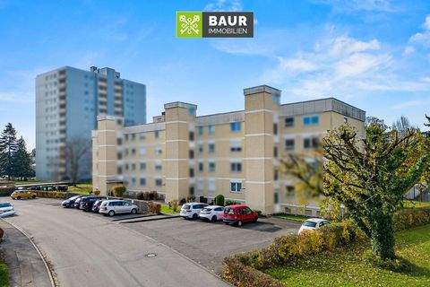 Weingarten Wohnungen, Weingarten Wohnung kaufen