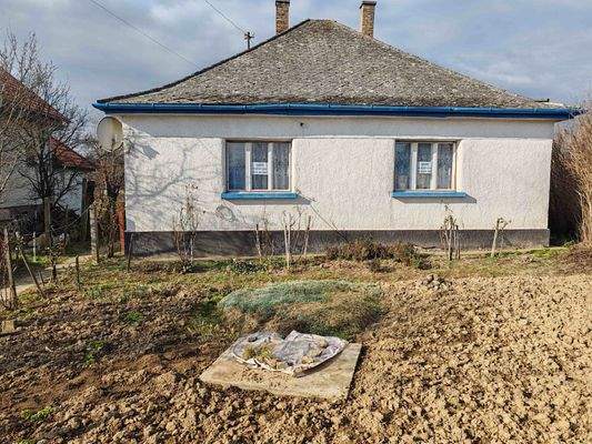 IMG_20250210_102908 (1).jpg