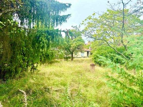 Königs Wusterhausen Grundstücke, Königs Wusterhausen Grundstück kaufen