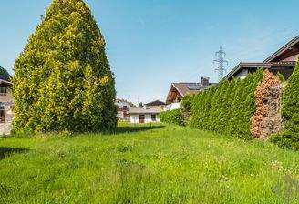 Blickrichtung Norden
