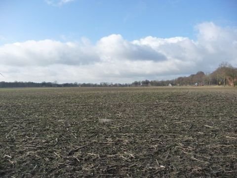 Bippen Häuser, Bippen Haus kaufen