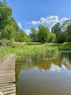 Blick vom See zum Haus