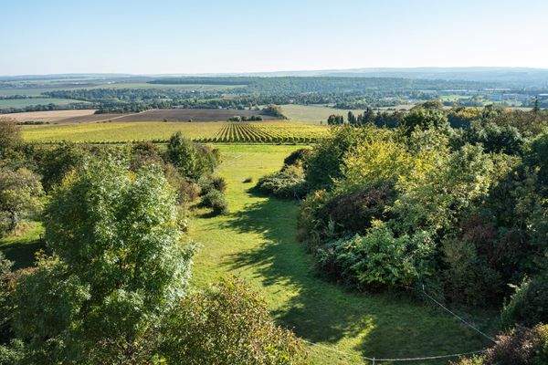 Blück übers Weingut Weimar