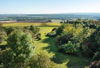 Blück übers Weingut Weimar