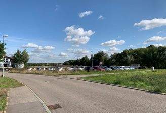 Freiflächen/Grundstück