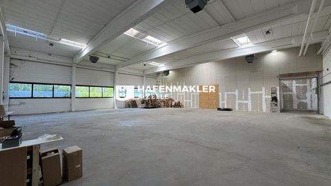 Hamburg Halle, Hamburg Hallenfläche