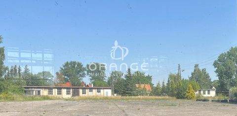 Stavenhagen-Zettemin Halle, Stavenhagen-Zettemin Hallenfläche