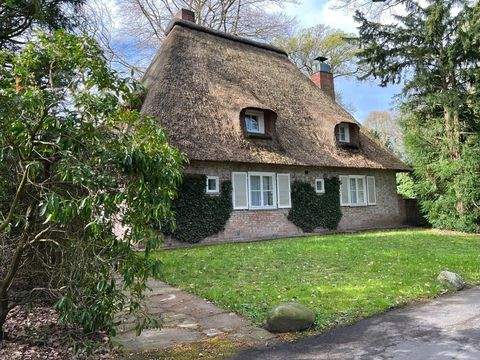 Bremen - St. Magnus Häuser, Bremen - St. Magnus Haus kaufen