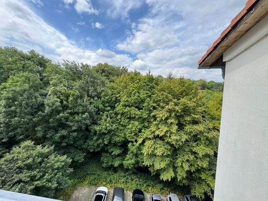 Blick vom Balkon.jpg