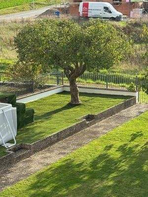 12 Garten Rückseite