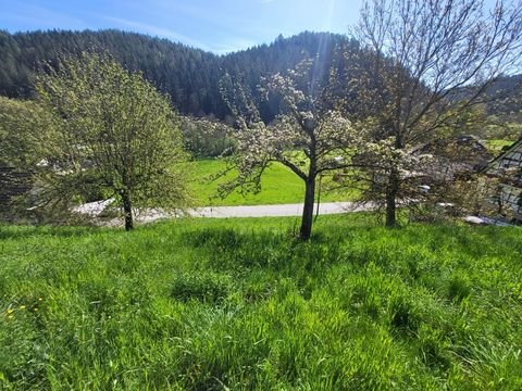 Neubulach Grundstücke, Neubulach Grundstück kaufen