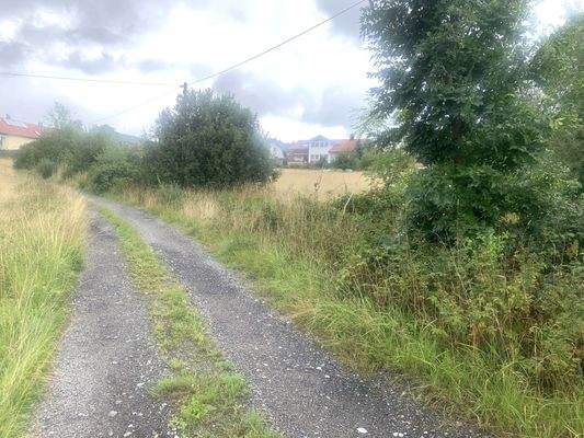 20230806_084856953_iOS