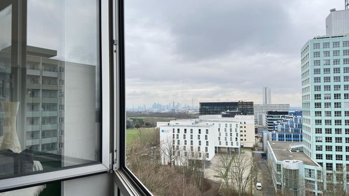 Ausblick auf die Frankfurter Skyline