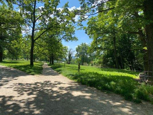 Naturschutzgebiet "Eichenhain"