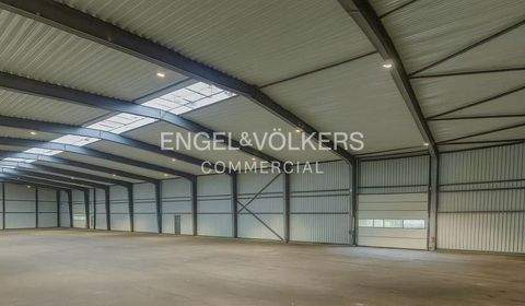 Neuenhagen Halle, Neuenhagen Hallenfläche