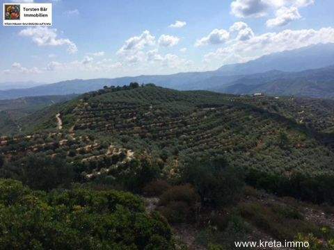 Platanias Grundstücke, Platanias Grundstück kaufen