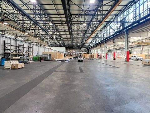 Dresden Halle, Dresden Hallenfläche