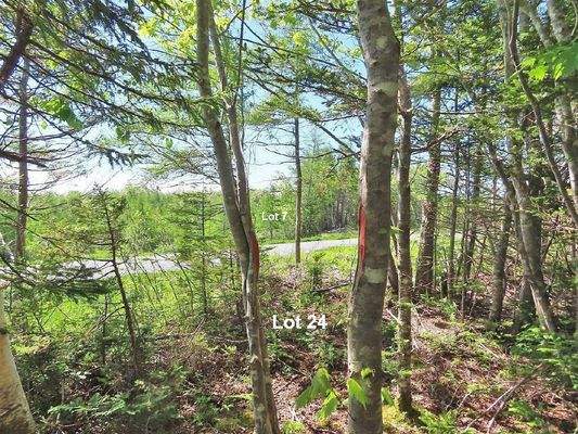 Cape Breton - 37,4 Hektar mit Atlantik-Zugang in t