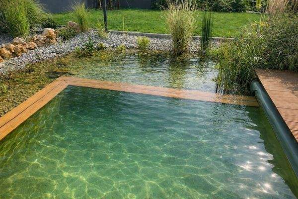 Naturpool mit Gartenidylle