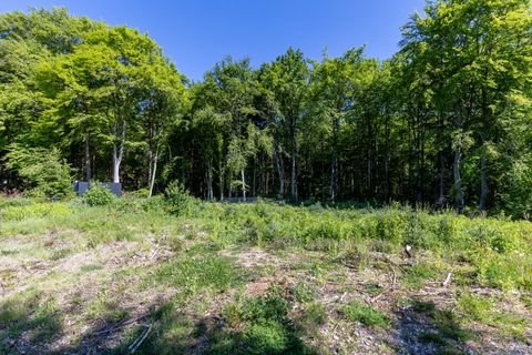 Straßlach-Dingharting Grundstücke, Straßlach-Dingharting Grundstück kaufen