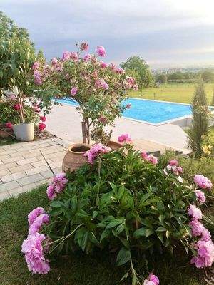 8691a51a-b1ea-4836-aacb-0a5760d24400