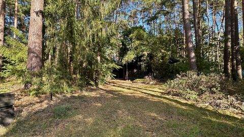 Wienhausen Häuser, Wienhausen Haus kaufen