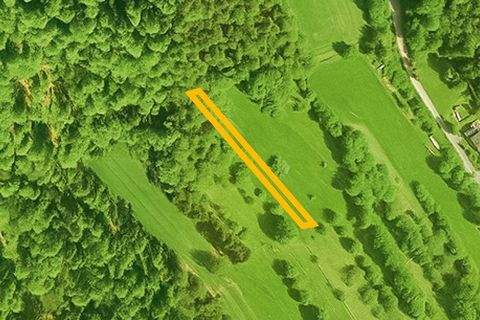 Rüdenau Bauernhöfe, Landwirtschaft, Rüdenau Forstwirtschaft