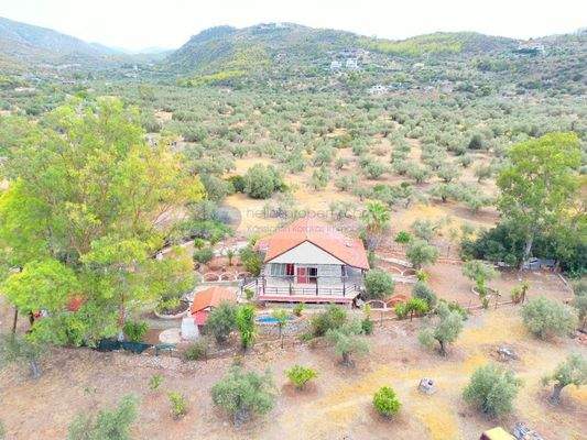 img_a0614968-bc73-4242-9b2b-2e60686de0e0