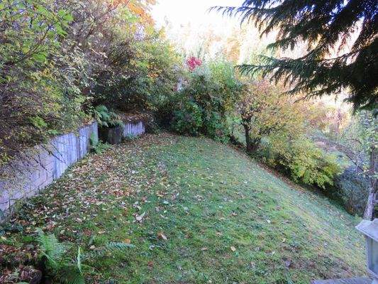 Sträucher und Bäume 