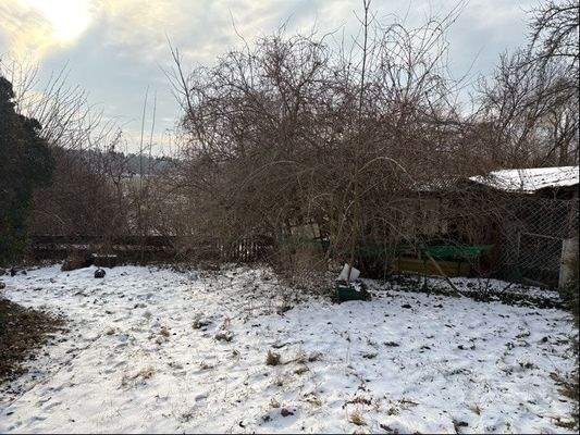 Grundstückseinblick