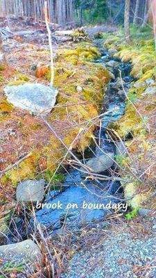 Grundstücksgrenze Bach