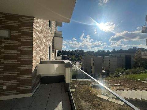 Ulm Wohnungen, Ulm Wohnung mieten