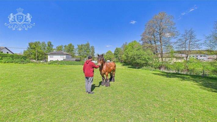 Weitläufige Außenanlage