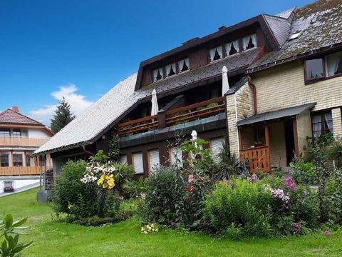 Todtnau / Brandenberg Häuser, Todtnau / Brandenberg Haus kaufen