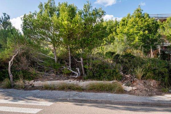 Frontansicht des Grundstückes