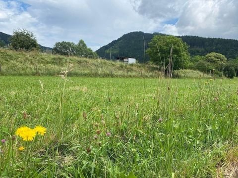 Feldkirchen in Kärnten Grundstücke, Feldkirchen in Kärnten Grundstück kaufen