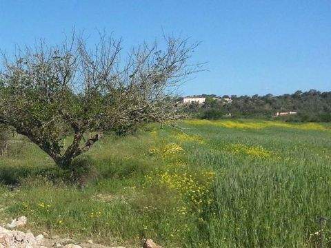 Porreres Häuser, Porreres Haus kaufen