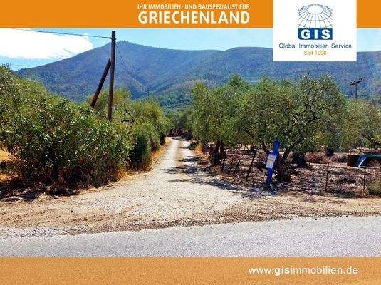 Zufahrt von der Hauptstrasse