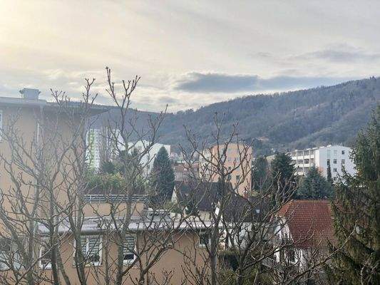 Bild: Waagner-Biro-Straße 109-115