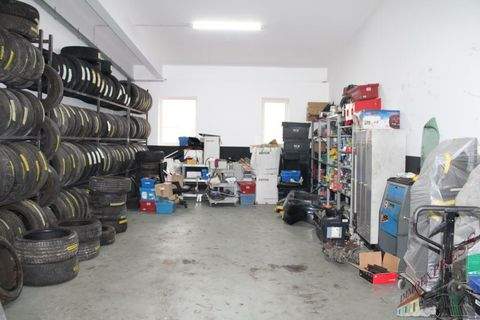 Fischamend Halle, Fischamend Hallenfläche