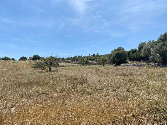 ... mit Weitblick...