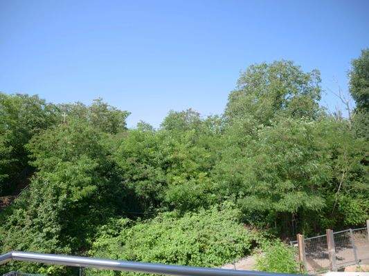 WE 03 - Balkon Ausblick