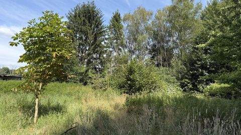 Bienenbüttel Grundstücke, Bienenbüttel Grundstück kaufen