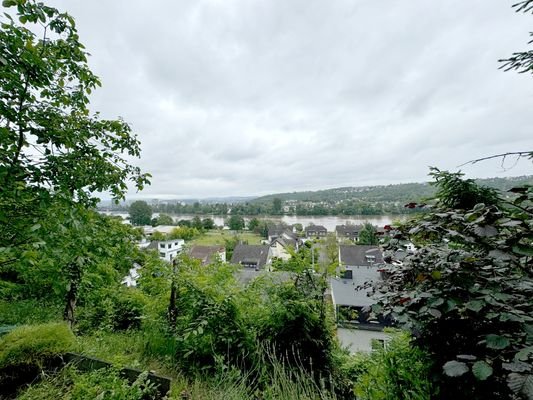Blick vom Hanggrundstück zur Mosel